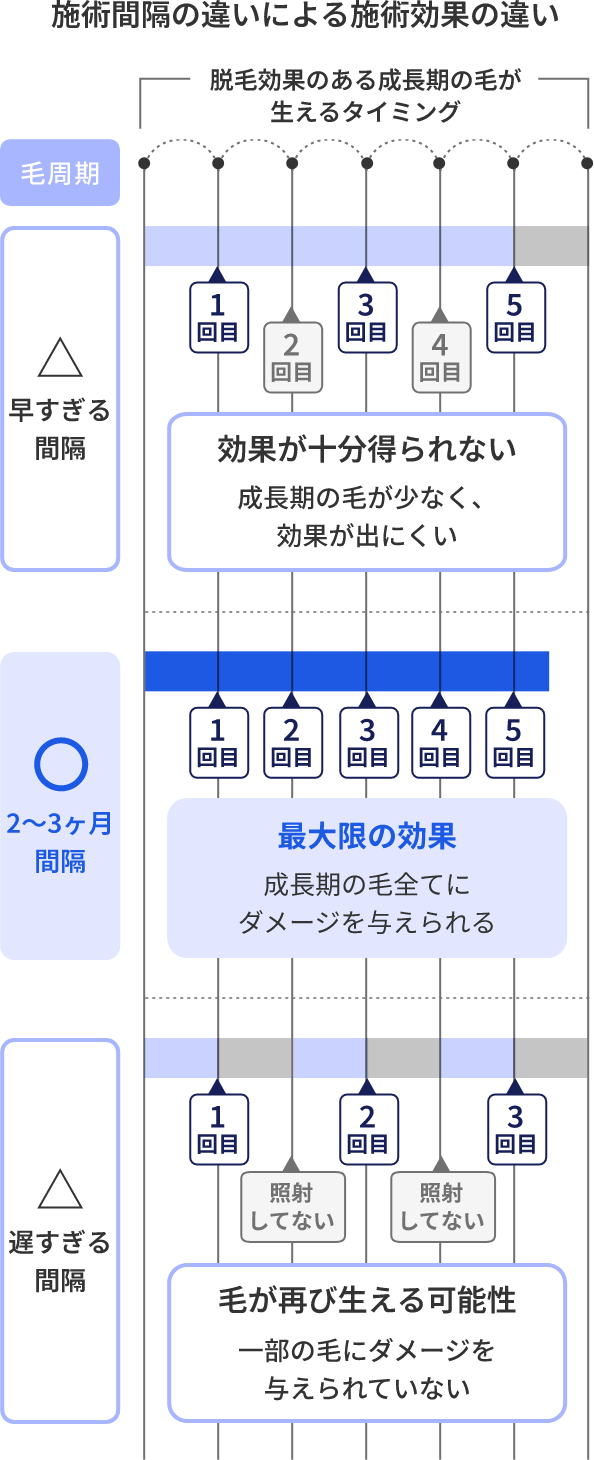 医療脱毛の間隔は空けすぎても平気？毛周期の真実と部位別最適頻度