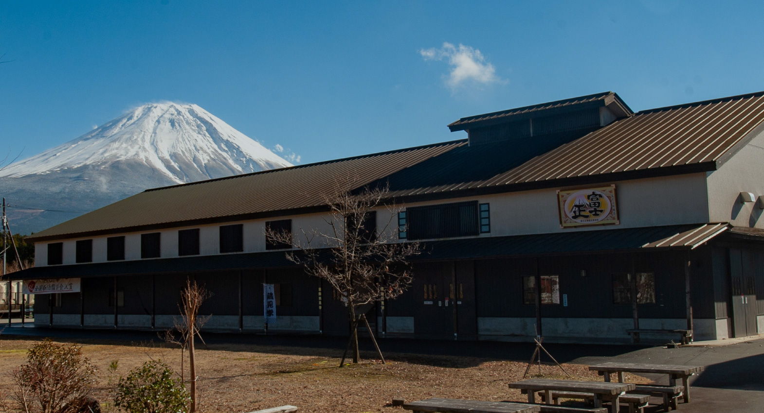 富士正酒造の評判と魅力｜銘柄げんこつや朝霧の蔵見学・歴史を徹底解説！