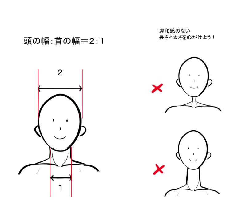 首の長さの正しい測り方と男女の平均基準｜骨格別の見え方と垢抜け術