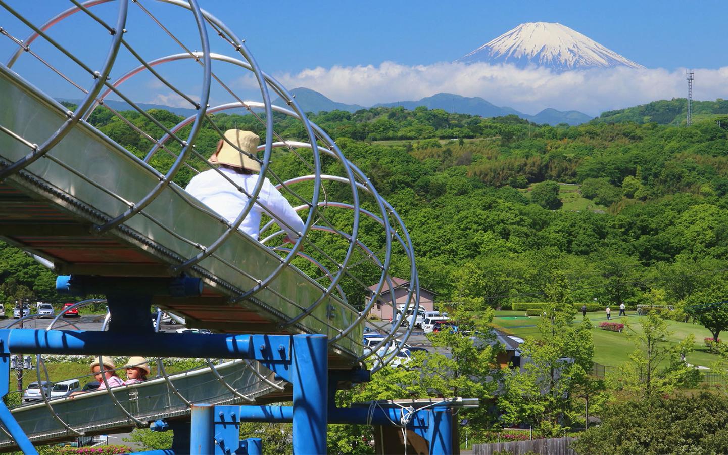 中井中央公園の魅力を徹底取材！滑り台・水遊びと無料駐車場の攻略法