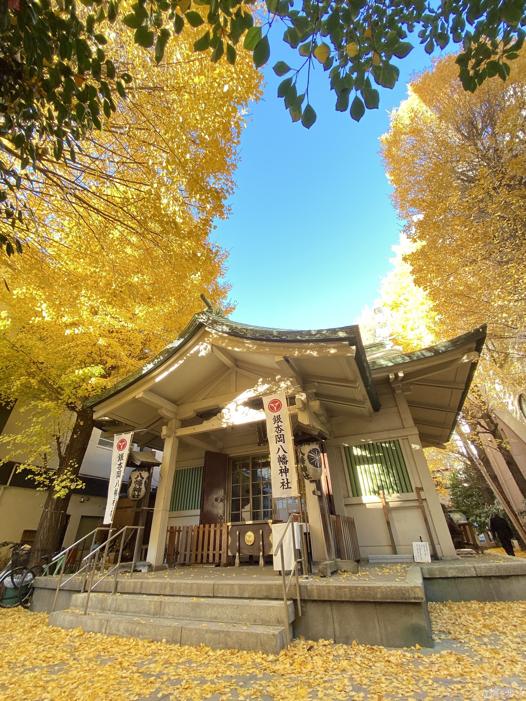 浅草橋の銀杏岡八幡神社とは？源義家の伝説と御朱印やご利益の真相