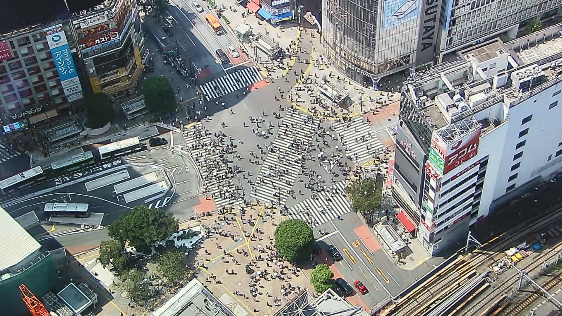 渋谷スクランブル交差点の真実｜1日50万人が行き交う理由と2026年最新穴場