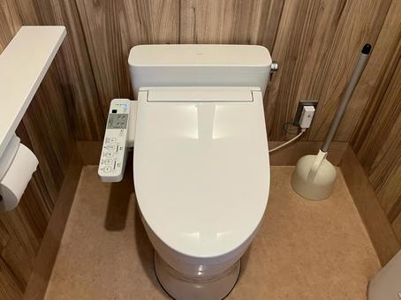 トイレに置く観葉植物おすすめ決定版！風水効果と枯れない選び方