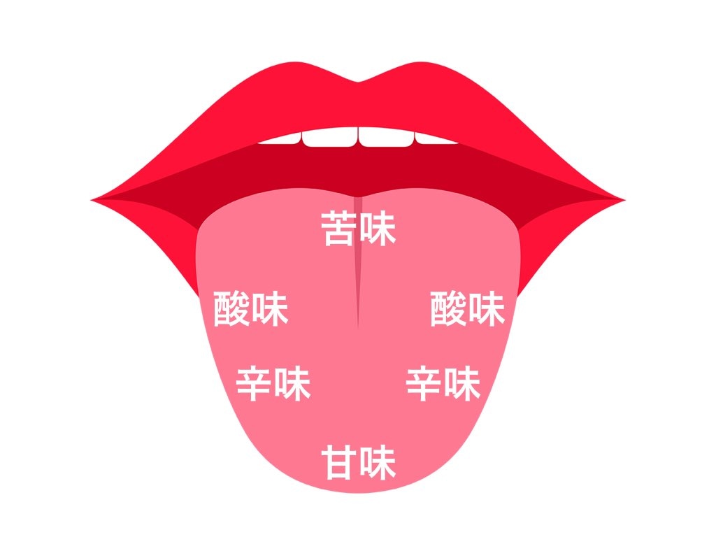 舌で苦味を感じる場所は奥だけ？味覚マップの真相と口の苦みの原因