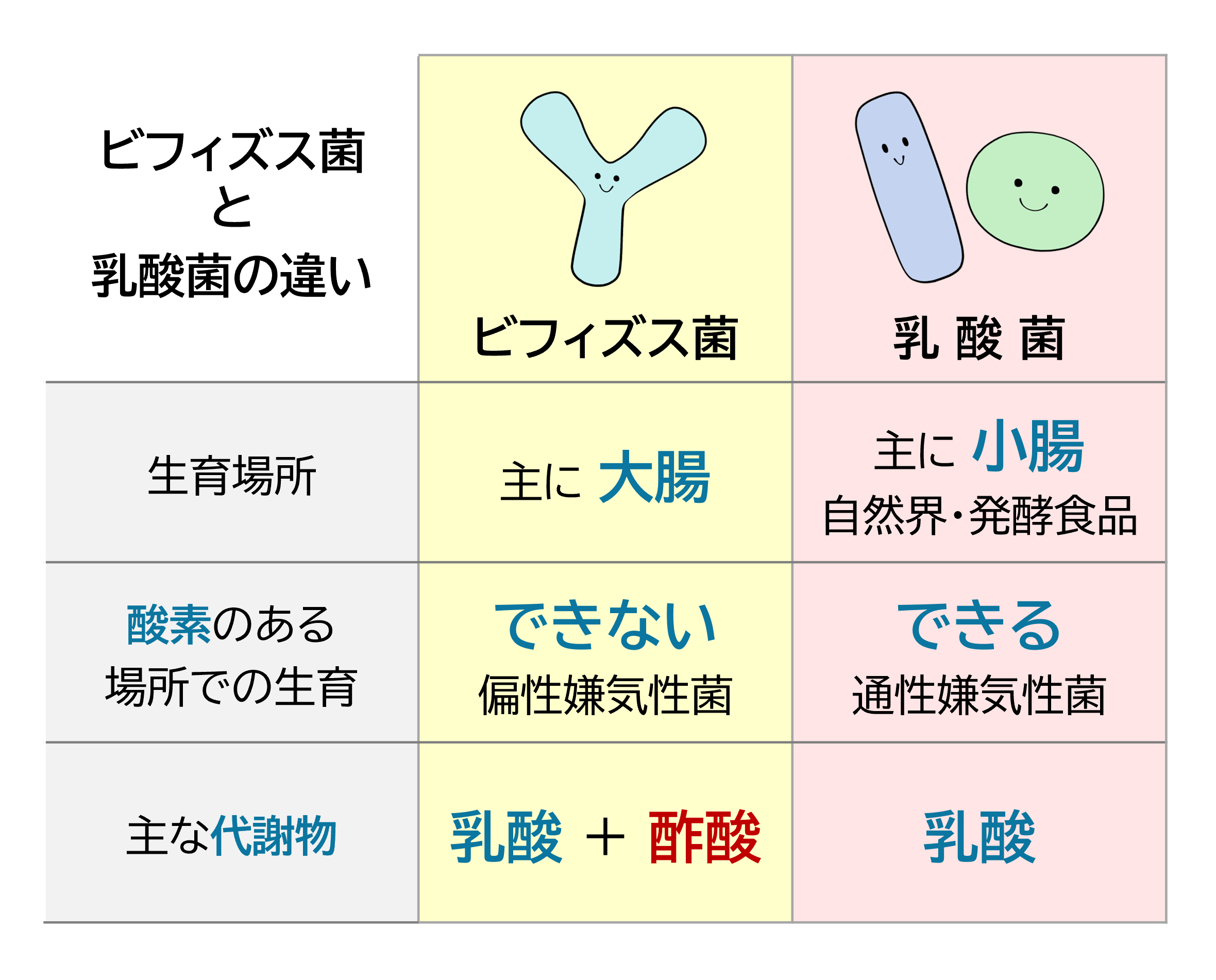 なぜビフィズス菌で便秘が治らない？逆効果の真相と効果を出す新常識