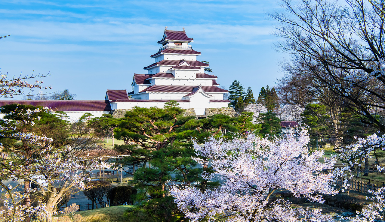 【2026年最新】福島市ランチ決定版！地元民が唸る名店＆穴場徹底ガイド