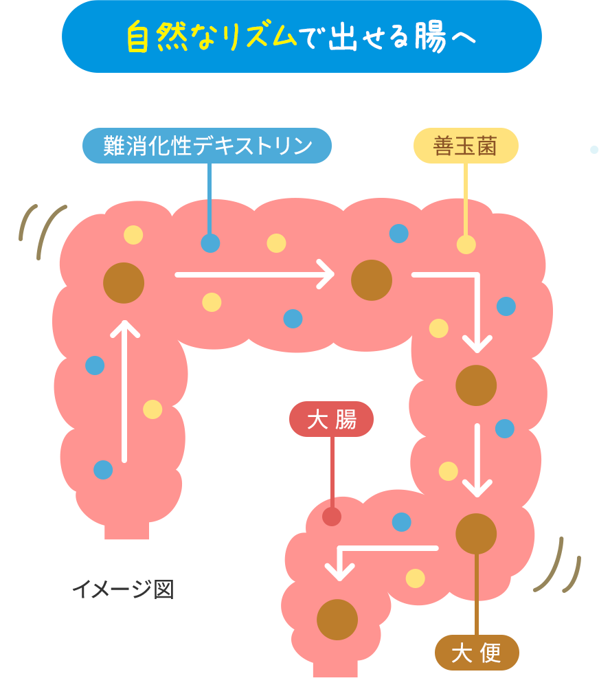 デキストリンとは？体に悪い噂の真相と難消化性との違いを徹底解剖