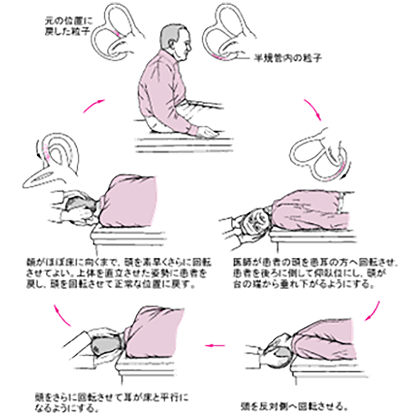 とんぼ返りとは？日帰りとの違いや語源・失礼にならない敬語マナーを解説
