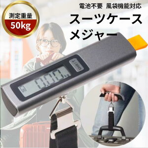 【必見】 スーツ ケース 重 さ 計り 100 均 2026年最新プロフィール #891