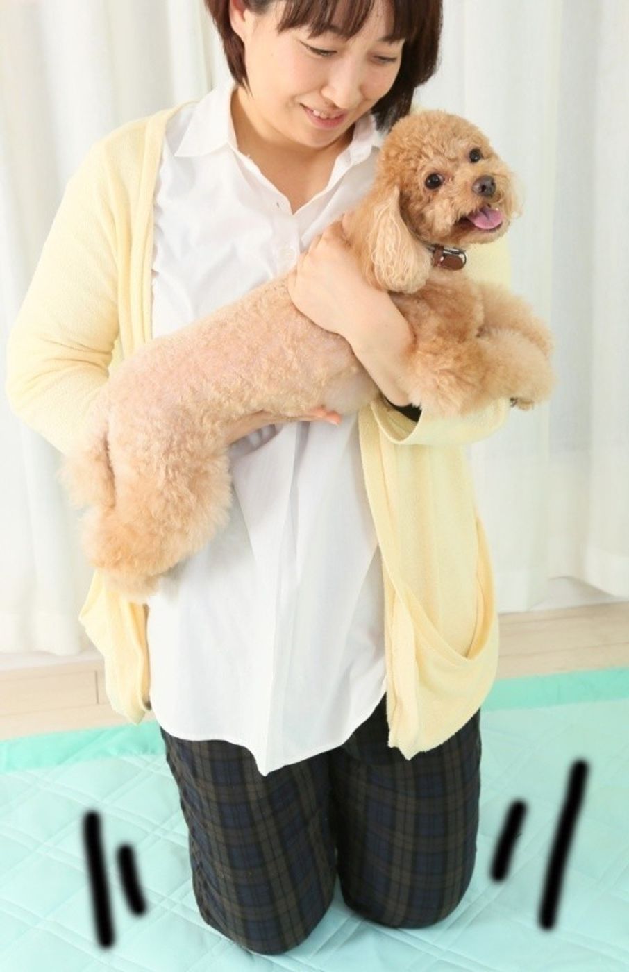 犬の正しい抱き方とNg例｜暴れる理由とヘルニア予防をプロが解説