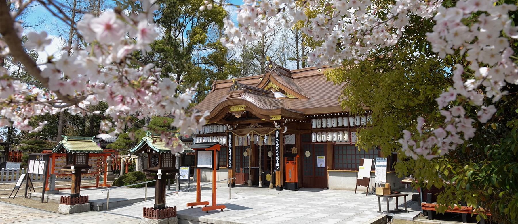 阿部野神社に眠る勝運の真実！北畠父子の歴史と2026年最新の歩き方