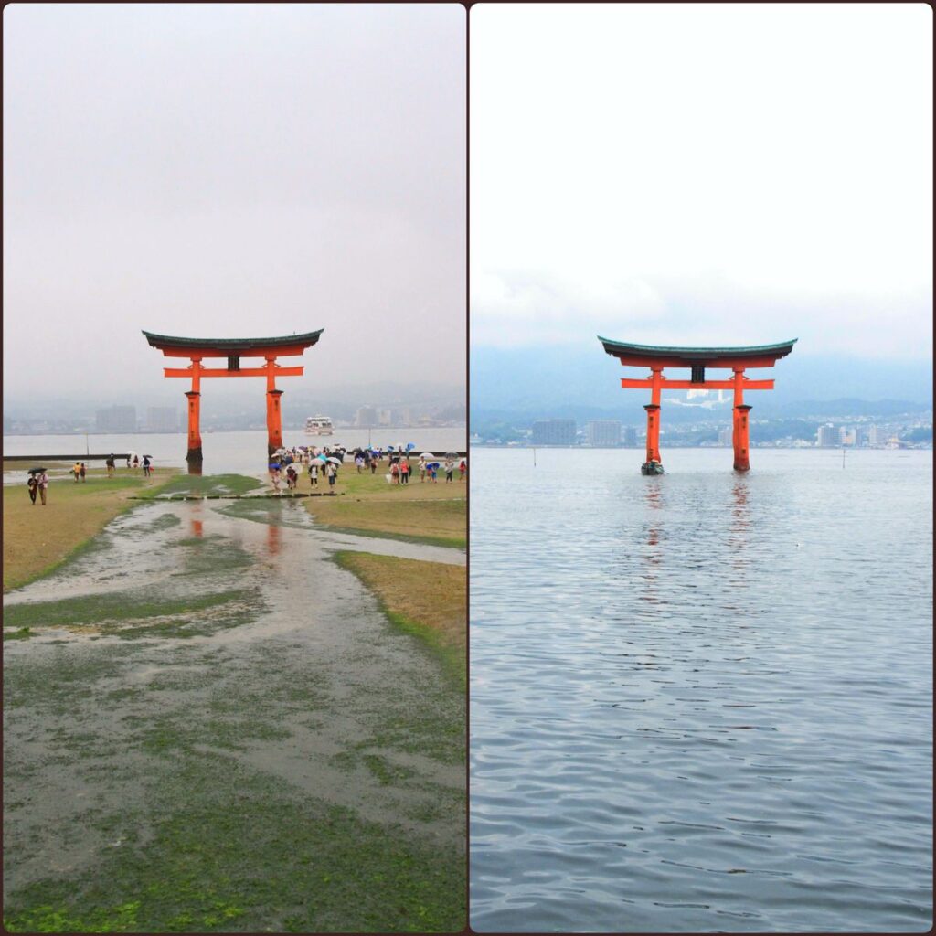 宮島の満潮干潮どっちを見る？潮位目安と両方満喫する2026年完全攻略