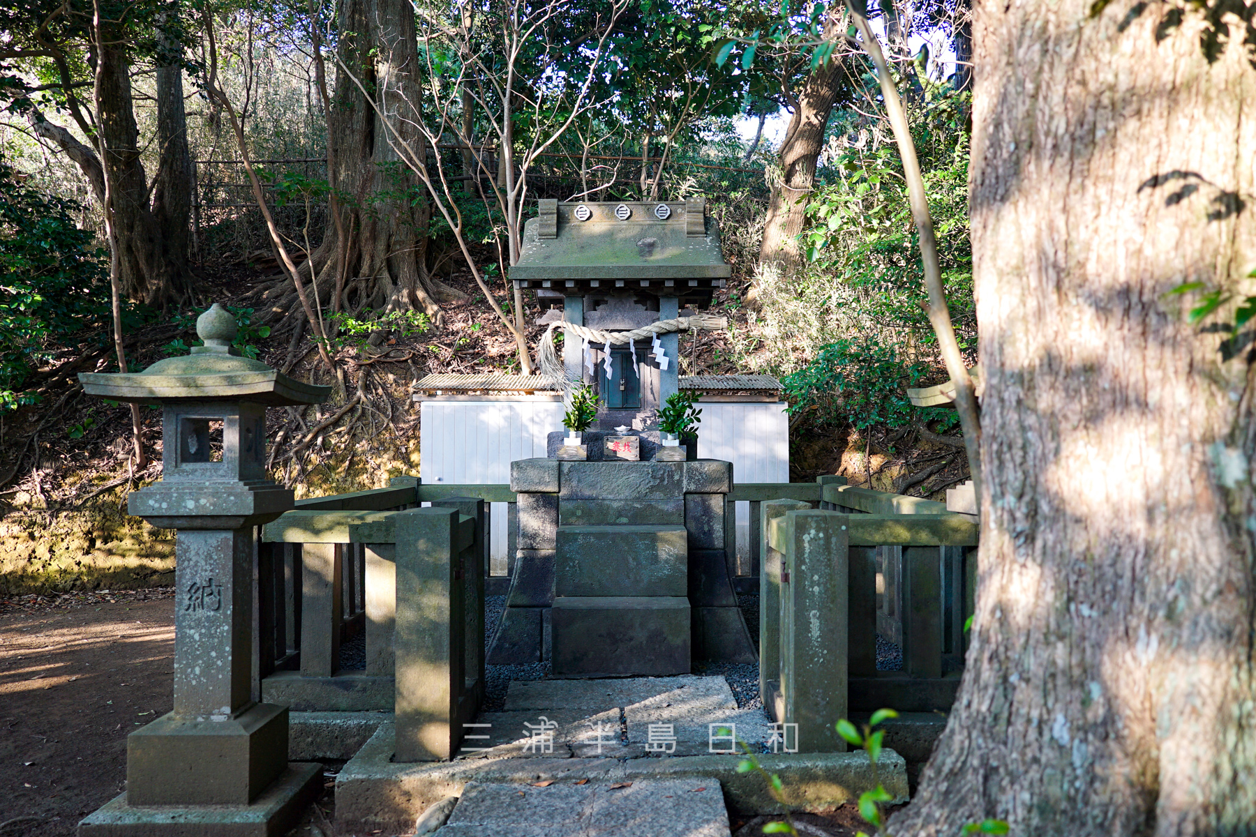 鎌倉山神社の歴史と富士山絶景の真相とは？2026年最新参拝ガイド