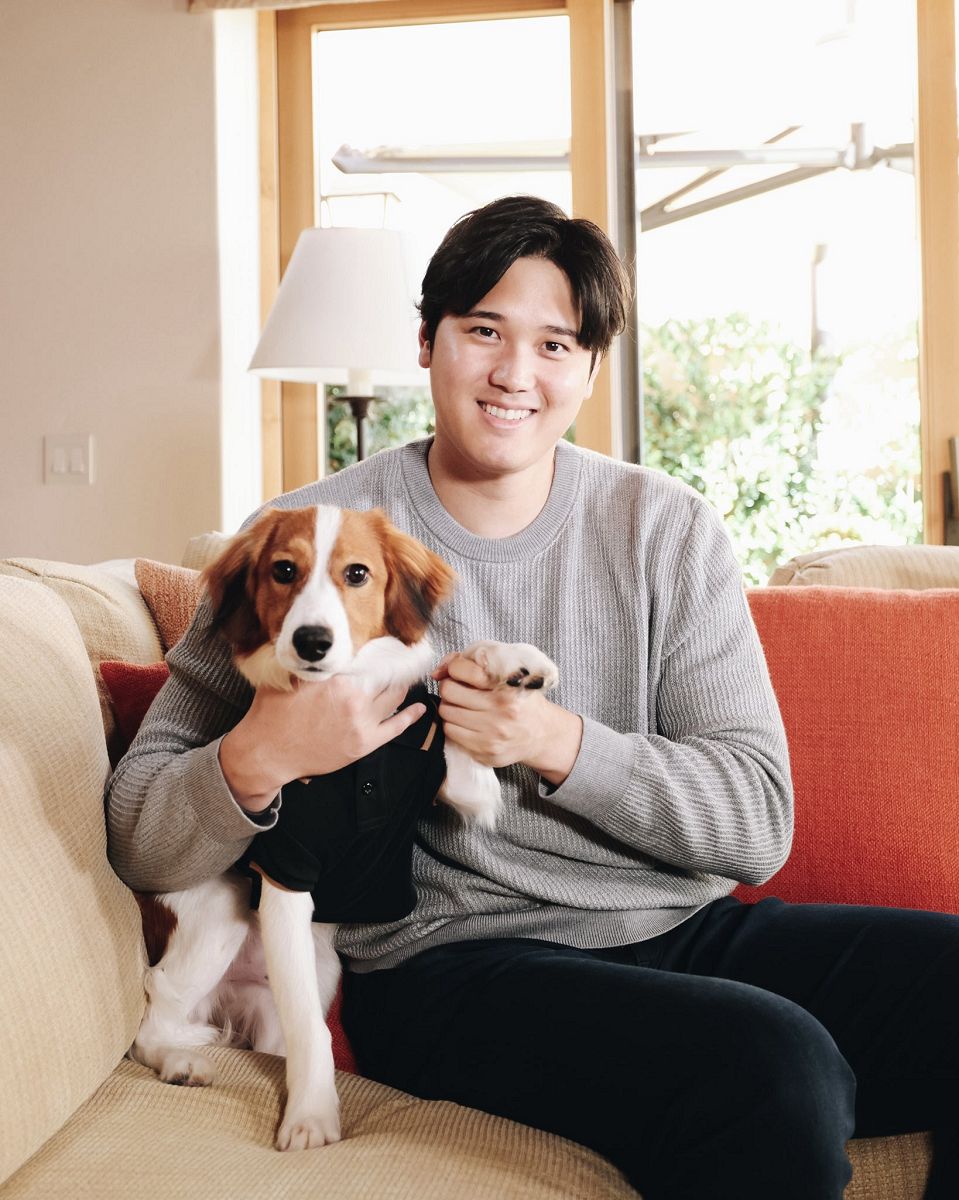 大谷翔平の愛犬デコピンの名前の由来とは？犬種や英語名の真相を徹底解明