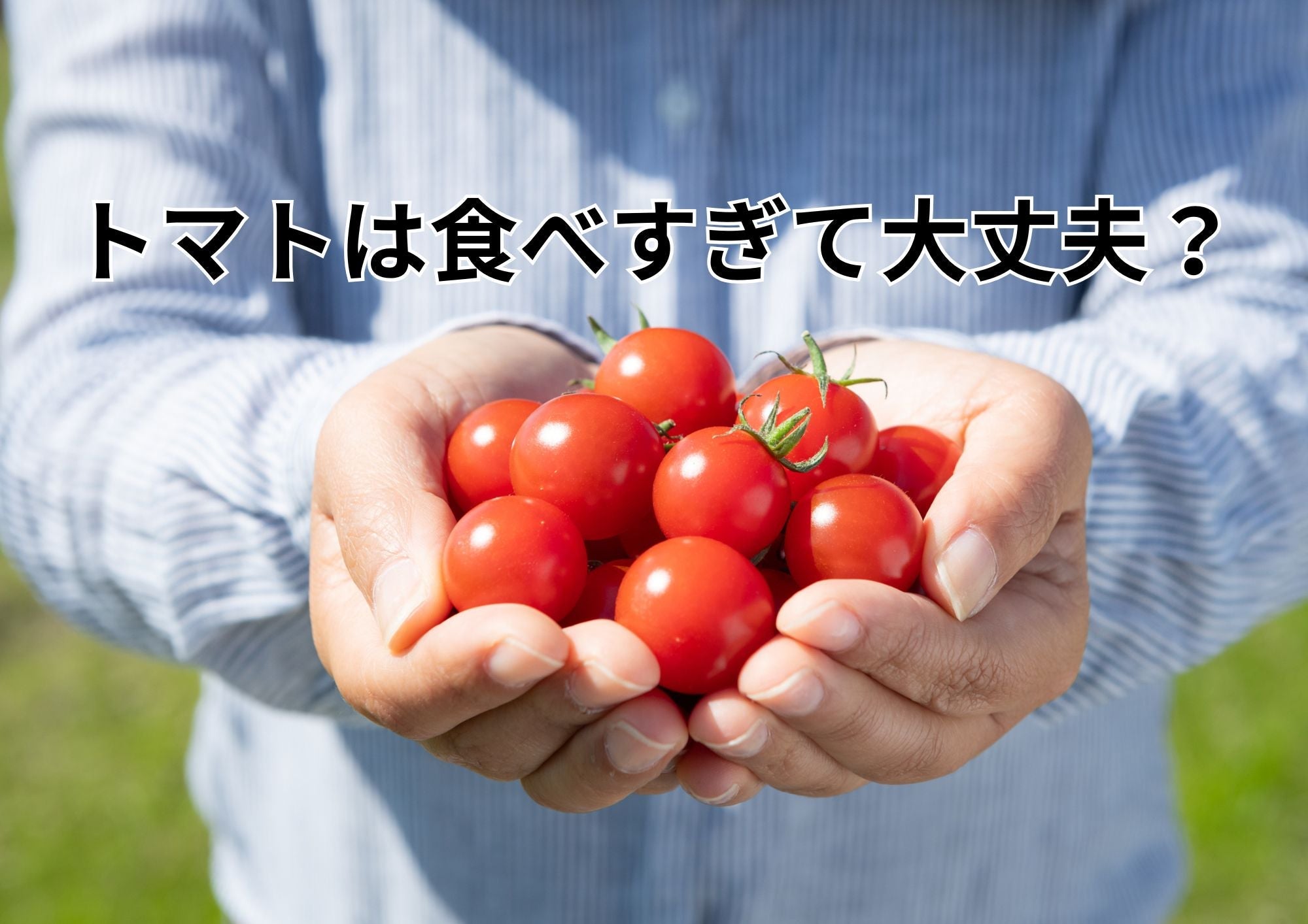トマトの食べ過ぎは危険？下痢や結石の真相と1日の適量を徹底解説