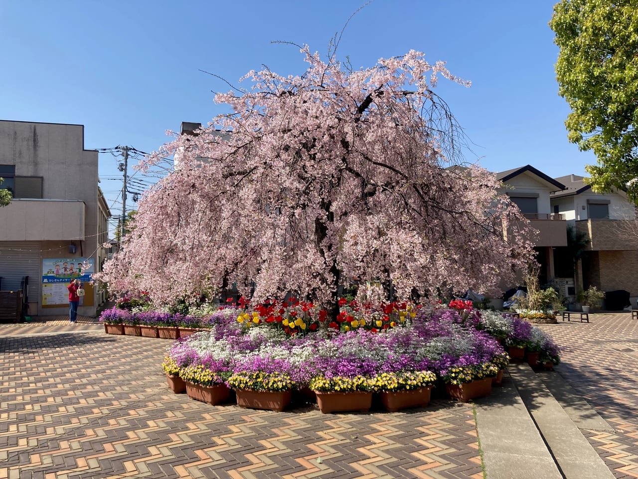 えだきん商店街の奇跡！シャッター街復活の真相と2026最新動向