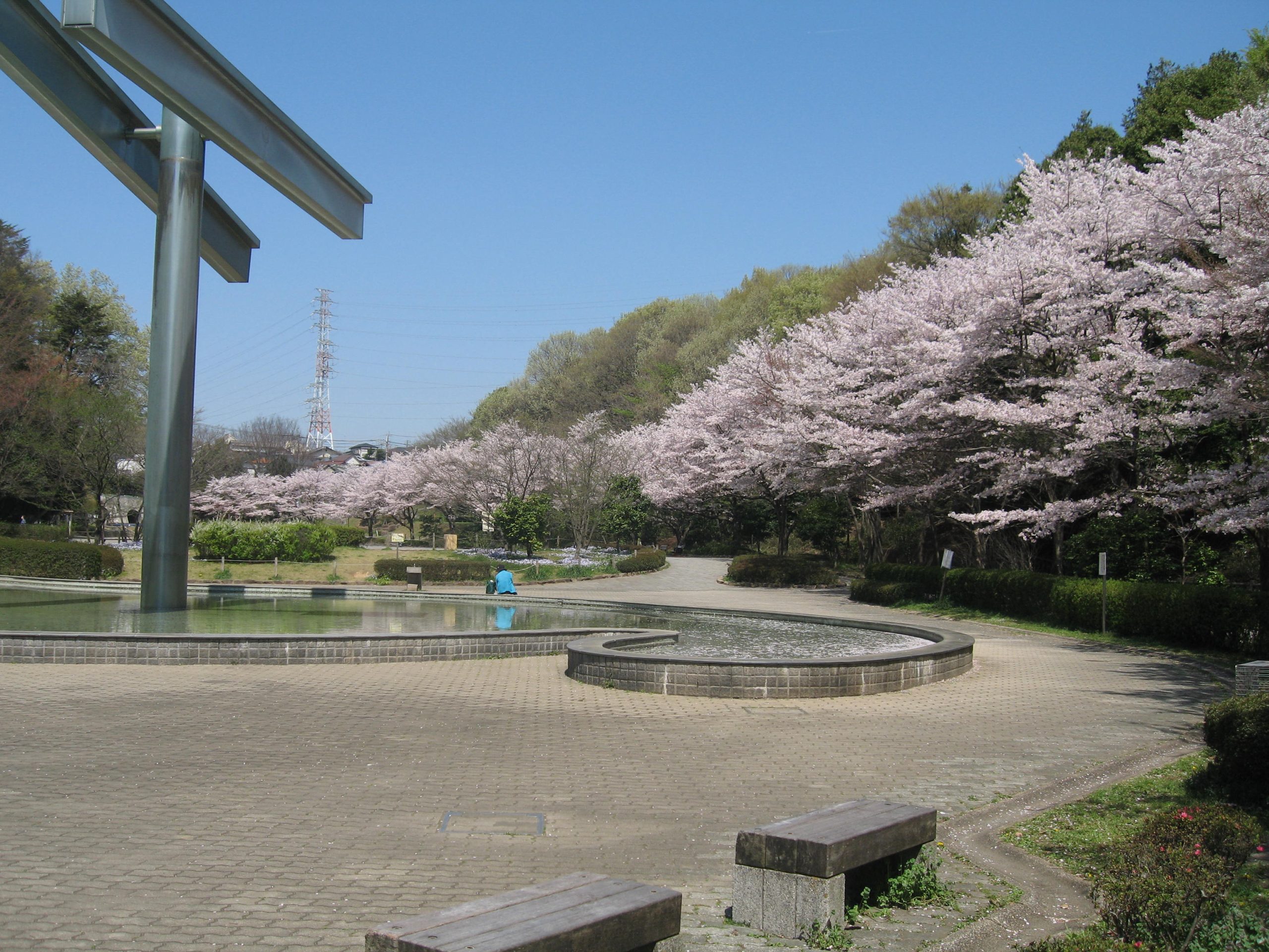 芹ヶ谷公園パークミュージアム計画の全貌！2026年最新の魅力を現地検証