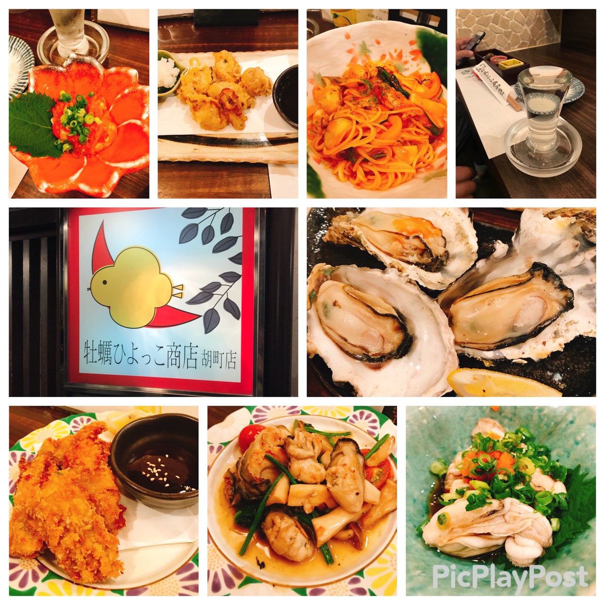 牡蠣ひよっこ商店の真相！食中毒疑惑と現在の営業状況をプロが徹底解明