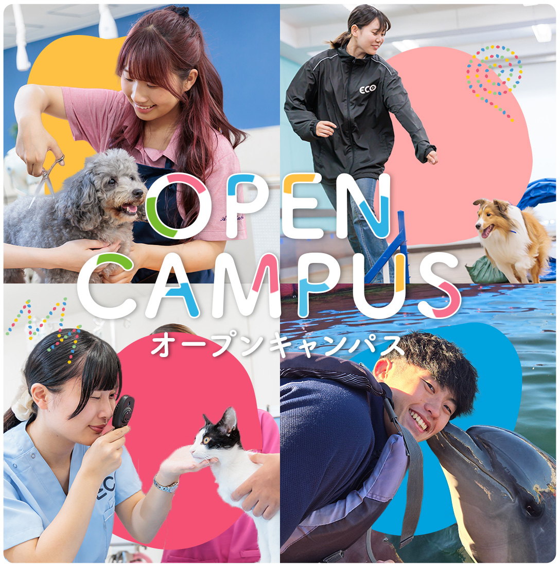 名古屋Eco動物海洋の評判と学費・就職実績の真相【2026年最新】