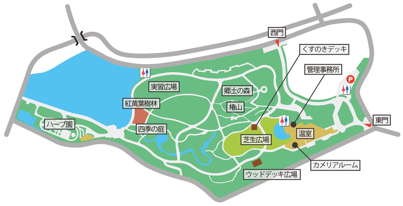 服部緑地都市緑化植物園の魅力解剖！温室・料金・最新開花を徹底検証