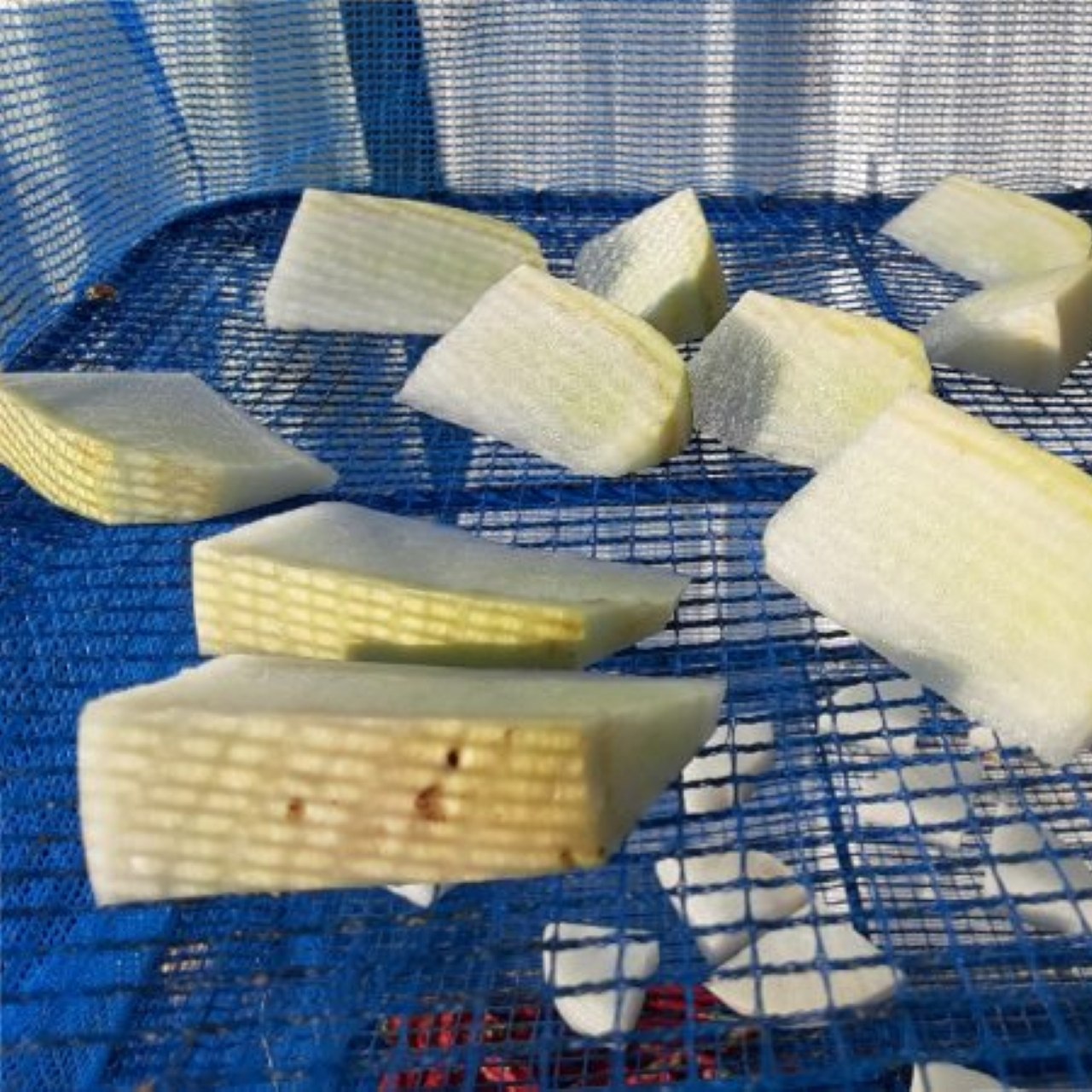 割り干し大根の作り方完全版！極上ポリポリ食感と失敗しない乾燥術