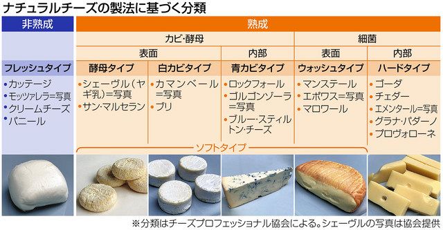 チーズ冷凍保存の真実！種類別の正しい保存法と美味しさを保つ裏技