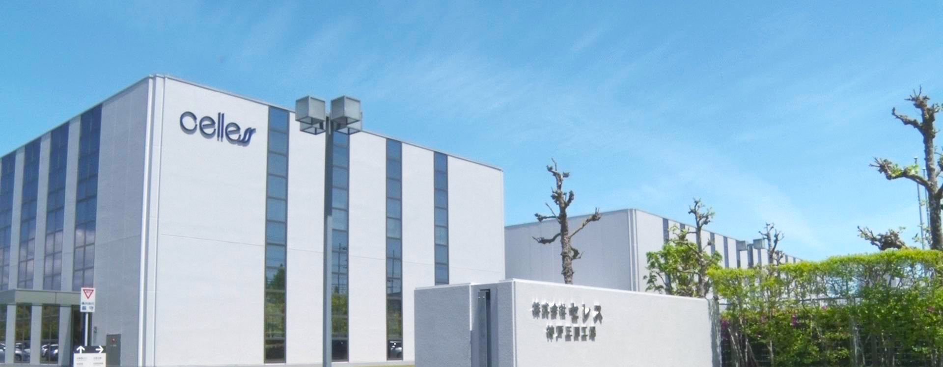 株式会社セレスの評判はやばい？年収と業績推移・モッピーの裏側を徹底追究