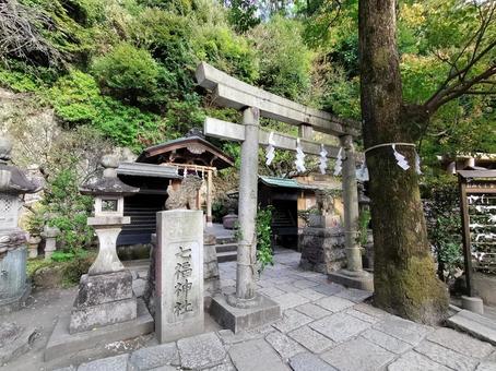 【徹底調査】 銭 洗 弁財天 宇賀 福 神社 話題のSns投稿まとめ 2026 #878