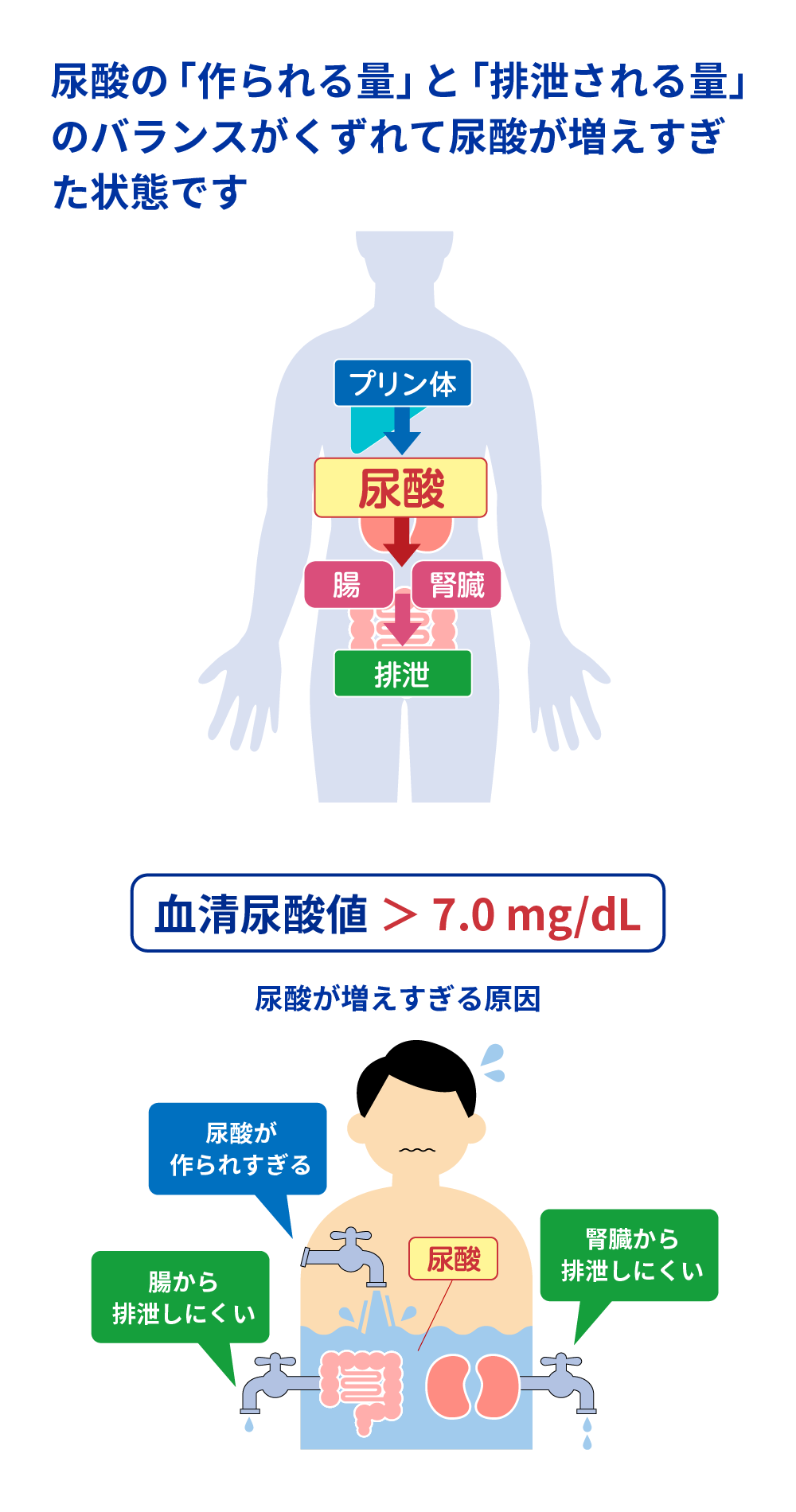 尿酸値が高いとどうなる？放置の恐怖と2026年最新改善ガイド