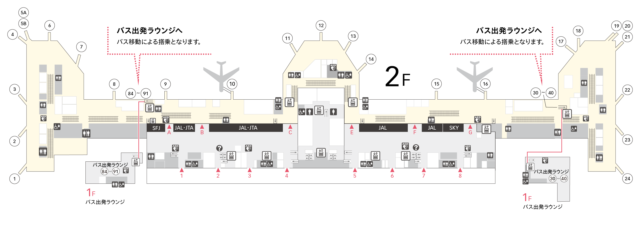 羽田空港Jal国内線ターミナル完全攻略！行き先別の違いと混雑回避術