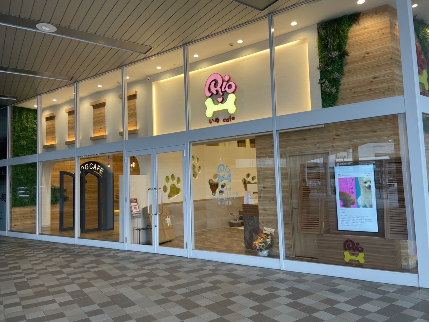 【2026最新】福岡の犬カフェ完全ガイド！ふれあい＆愛犬同伴の名店比較