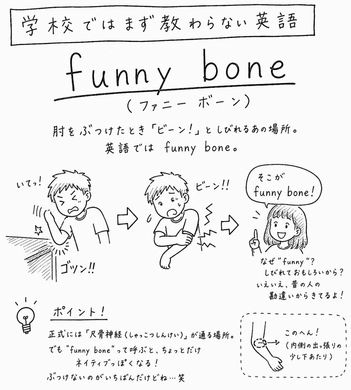肘の激痛「ファニーボーン」とは？痺れる理由と危険な症状を徹底解説