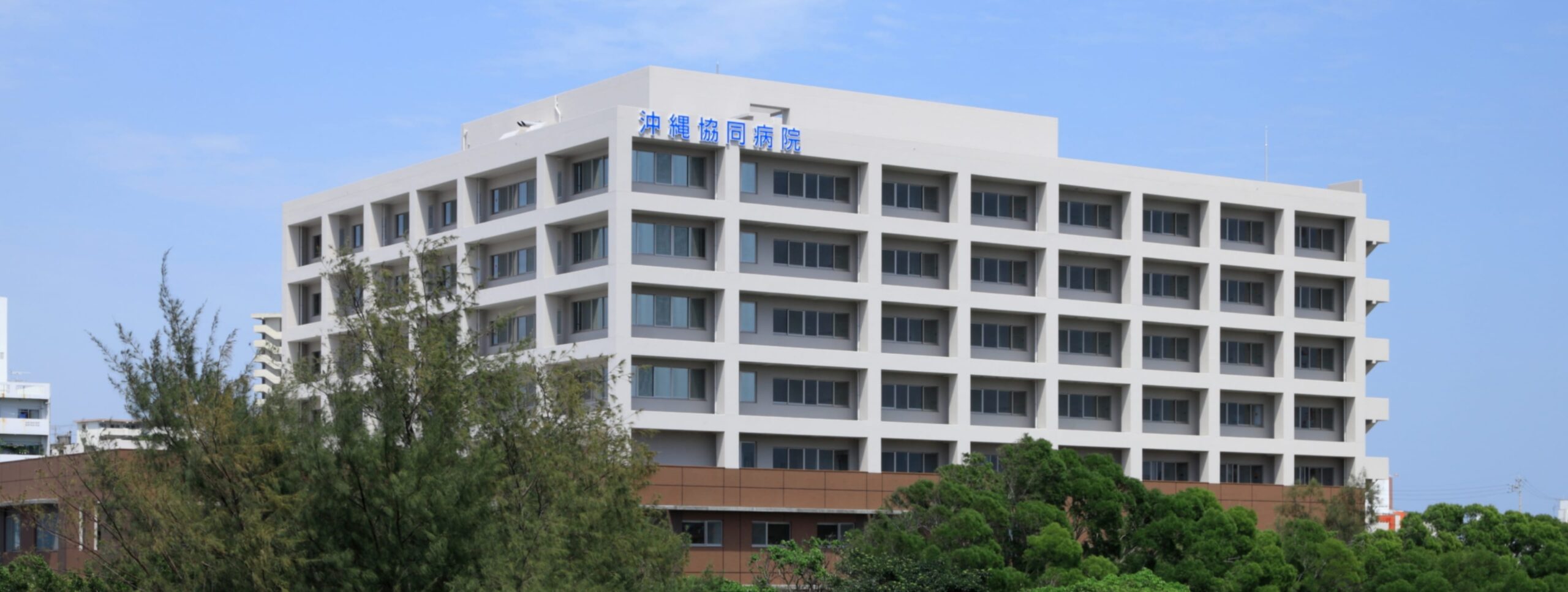 沖縄協同病院の評判と受診前必読の真実｜外来・救急・面会制限の2026年最新