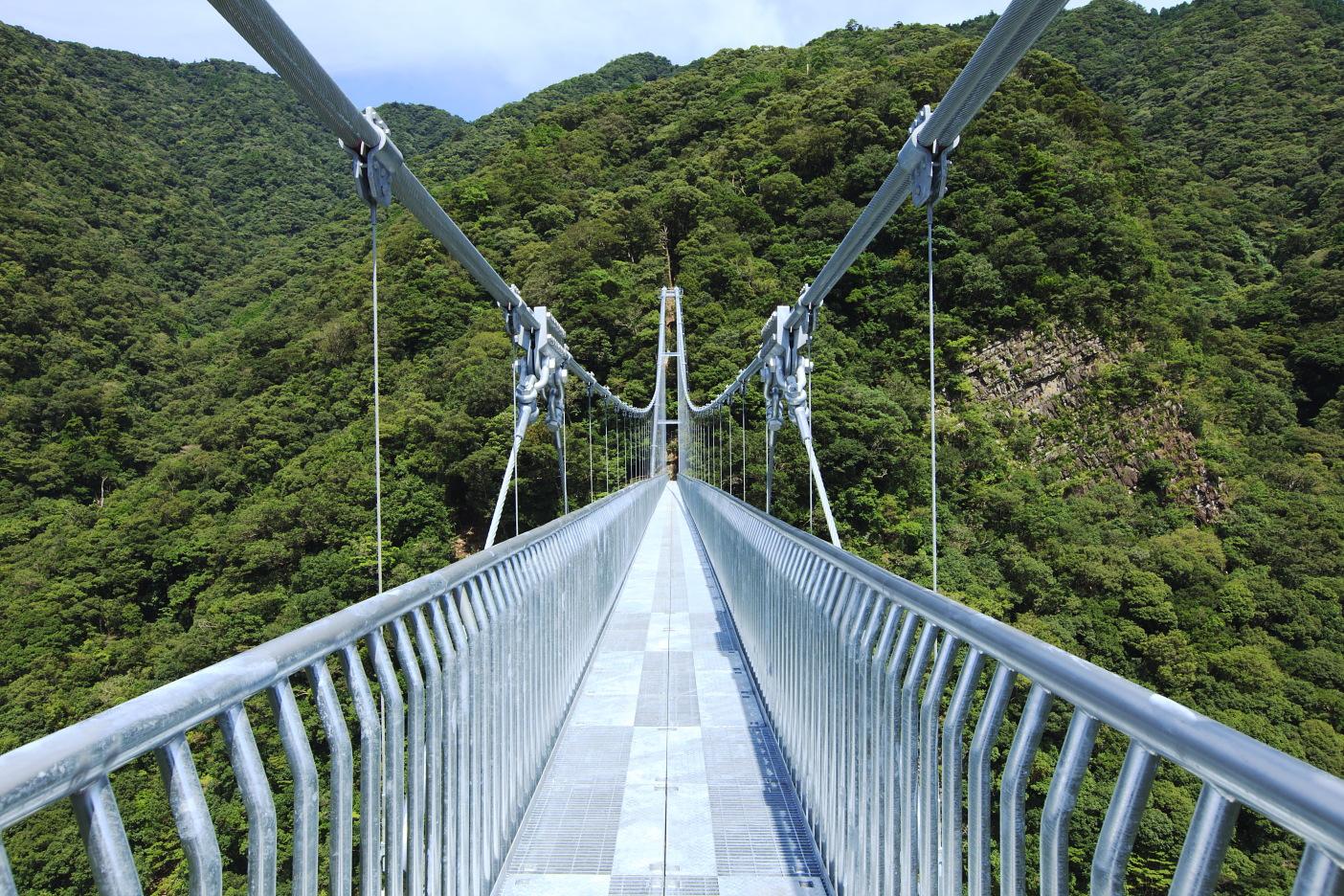 綾の照葉大吊橋は本当に怖い？高さ142Mの絶景と2026年最新ガイド