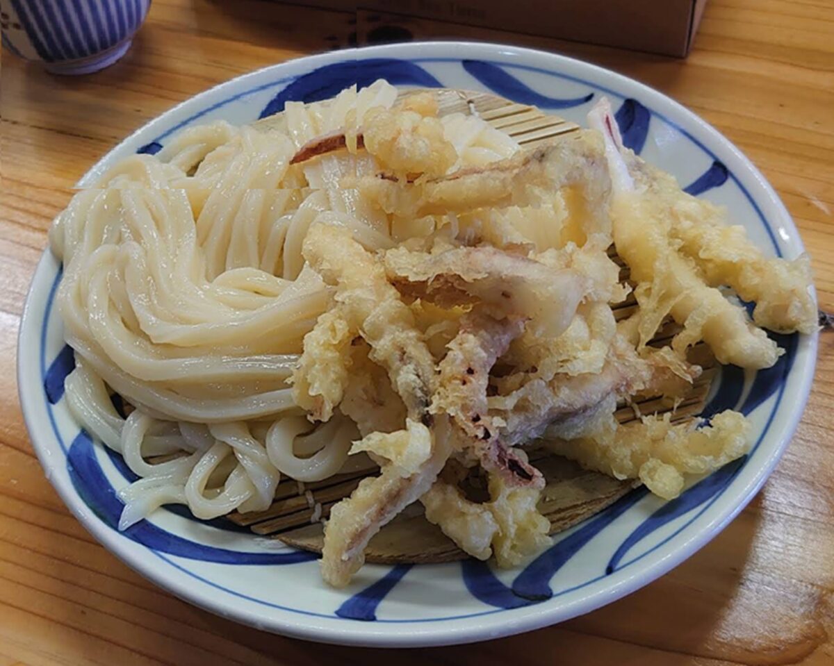 手打ちうどんはりやの大行列の真相！名物かしわ天と待ち時間攻略法