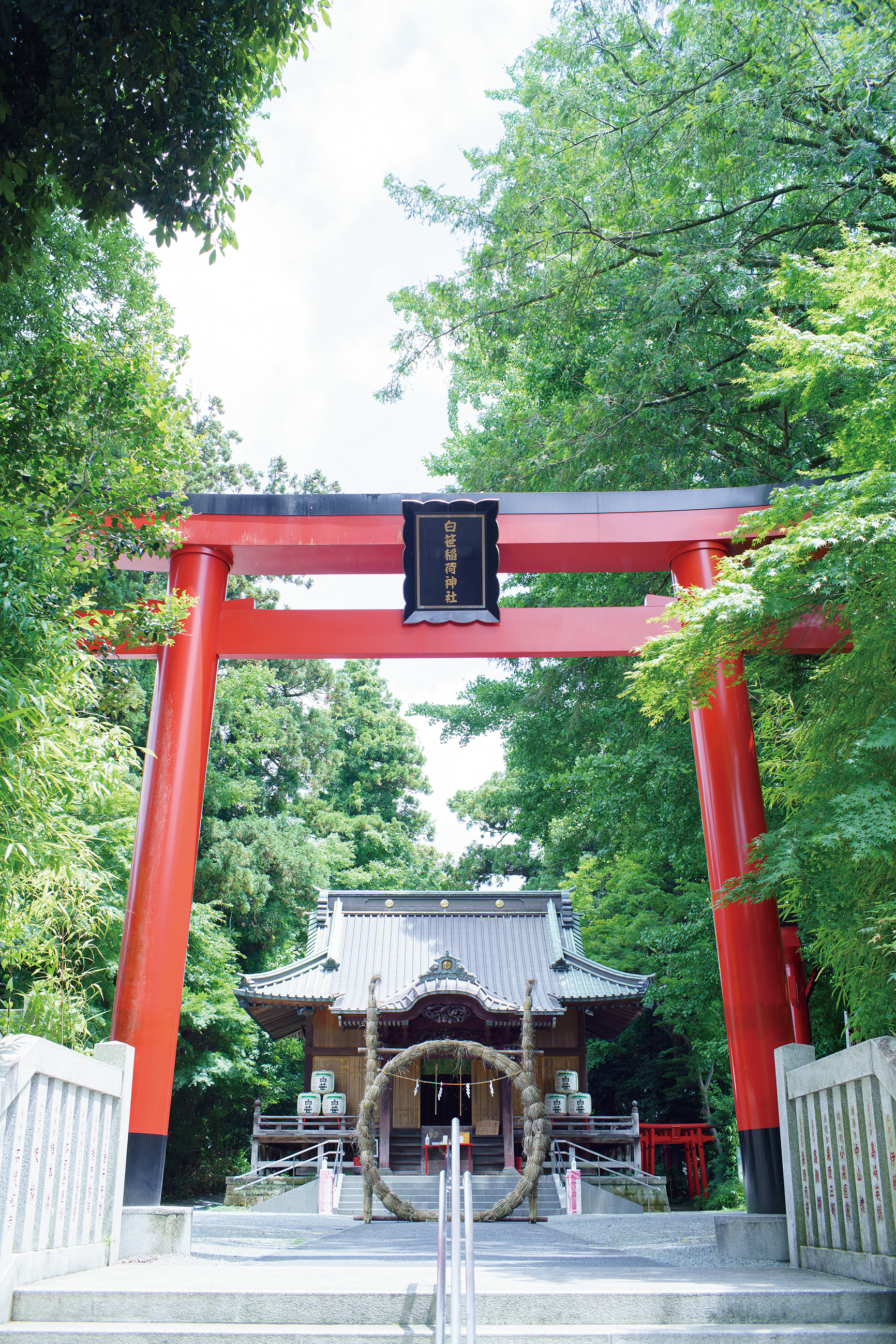 白笹稲荷神社の金運ご利益が本当に凄い理由と不思議体験の真相