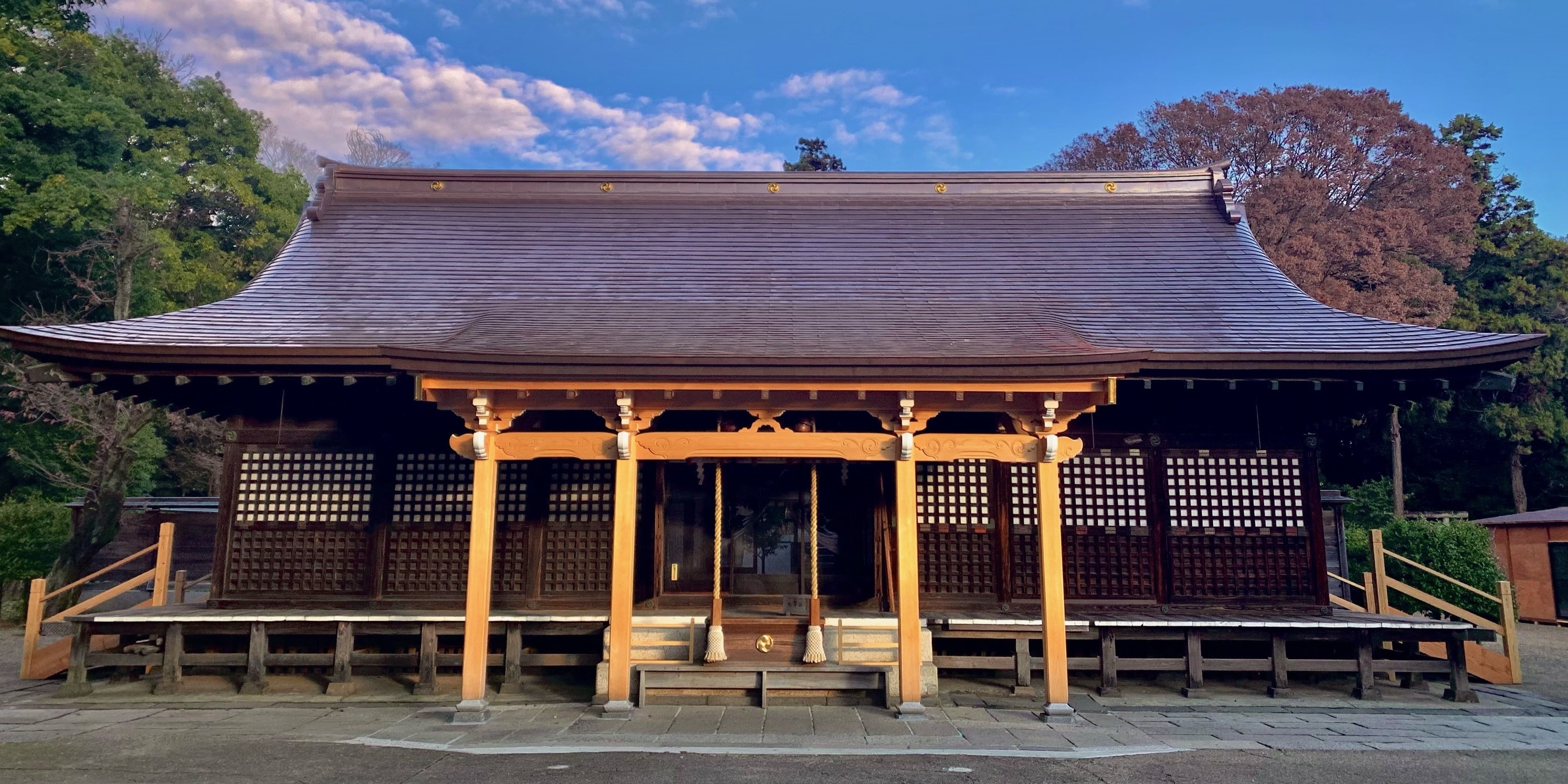 鷲宮神社が聖地であり続ける真相｜鳥居再建と2026年現在のリアル