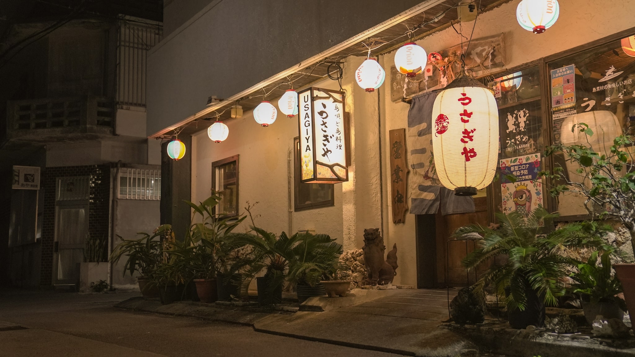 石垣島の夜を彩るうさぎや石垣本店で味わう八重山民謡と極上沖縄料理