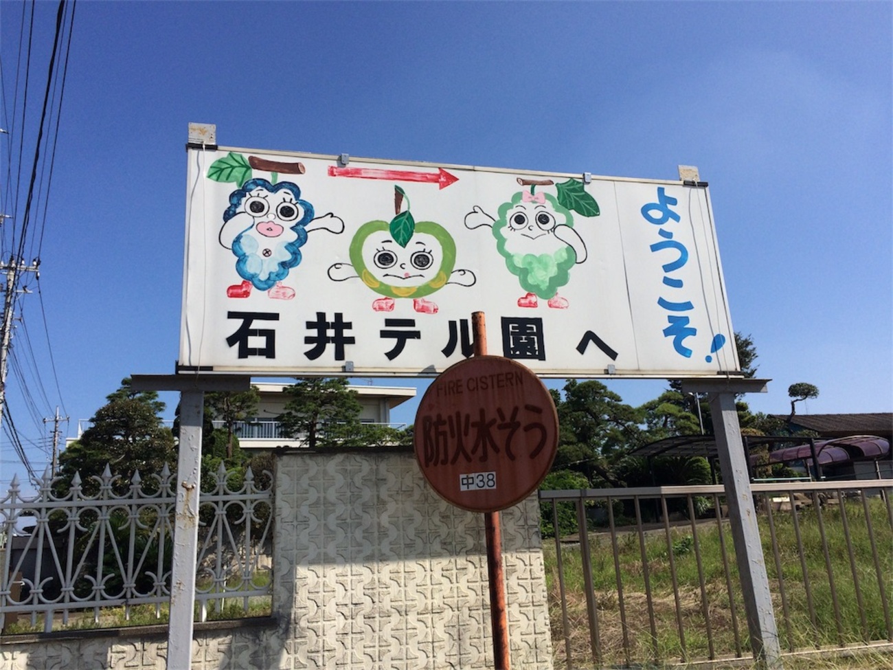 松戸・石井テル園の評判と梨狩り真相！直売所の予約＆旬時期完全ガイド