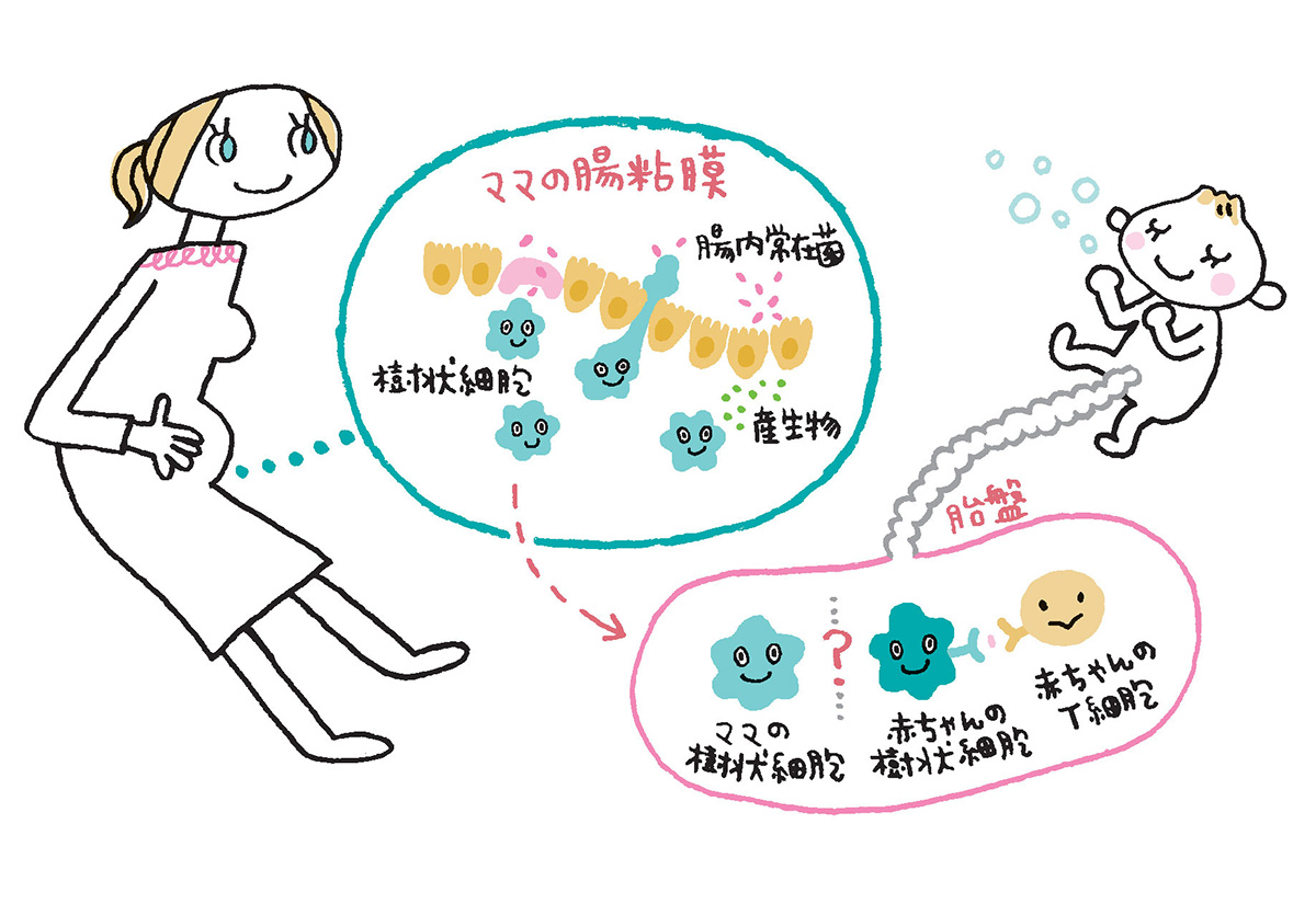 みやぞんの年齢は何歳？実年齢40代の衝撃と独立後の現在・結婚の真相