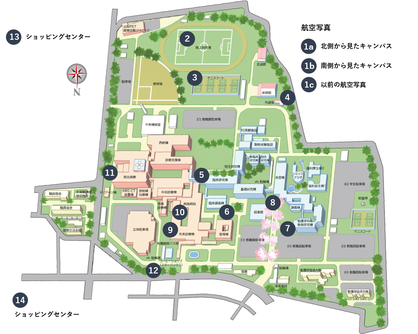 山梨大学医学部キャンパスの真実！立地と生活環境のリアルを徹底解剖