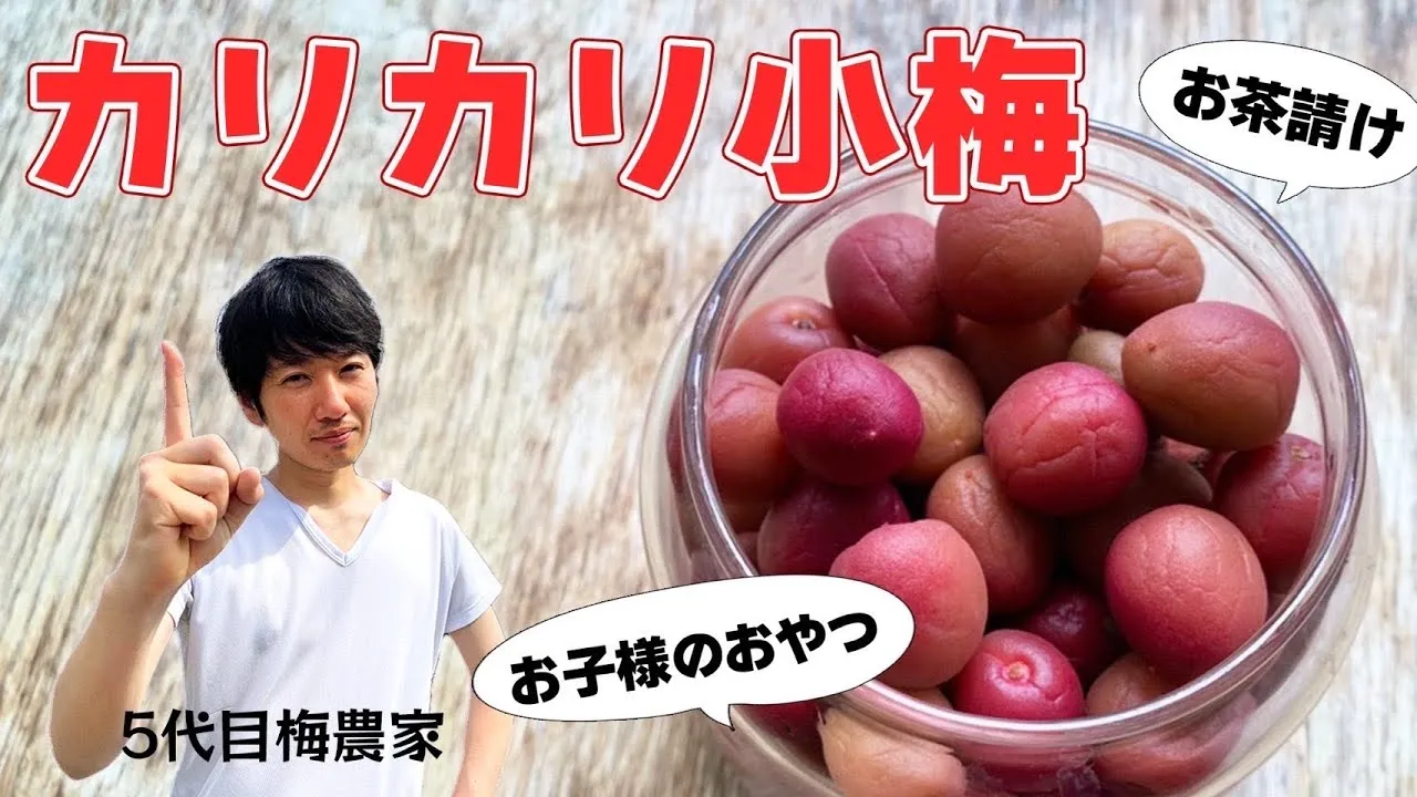 カリカリ小梅の簡単な作り方｜ジップロックと卵の殻で失敗ゼロ