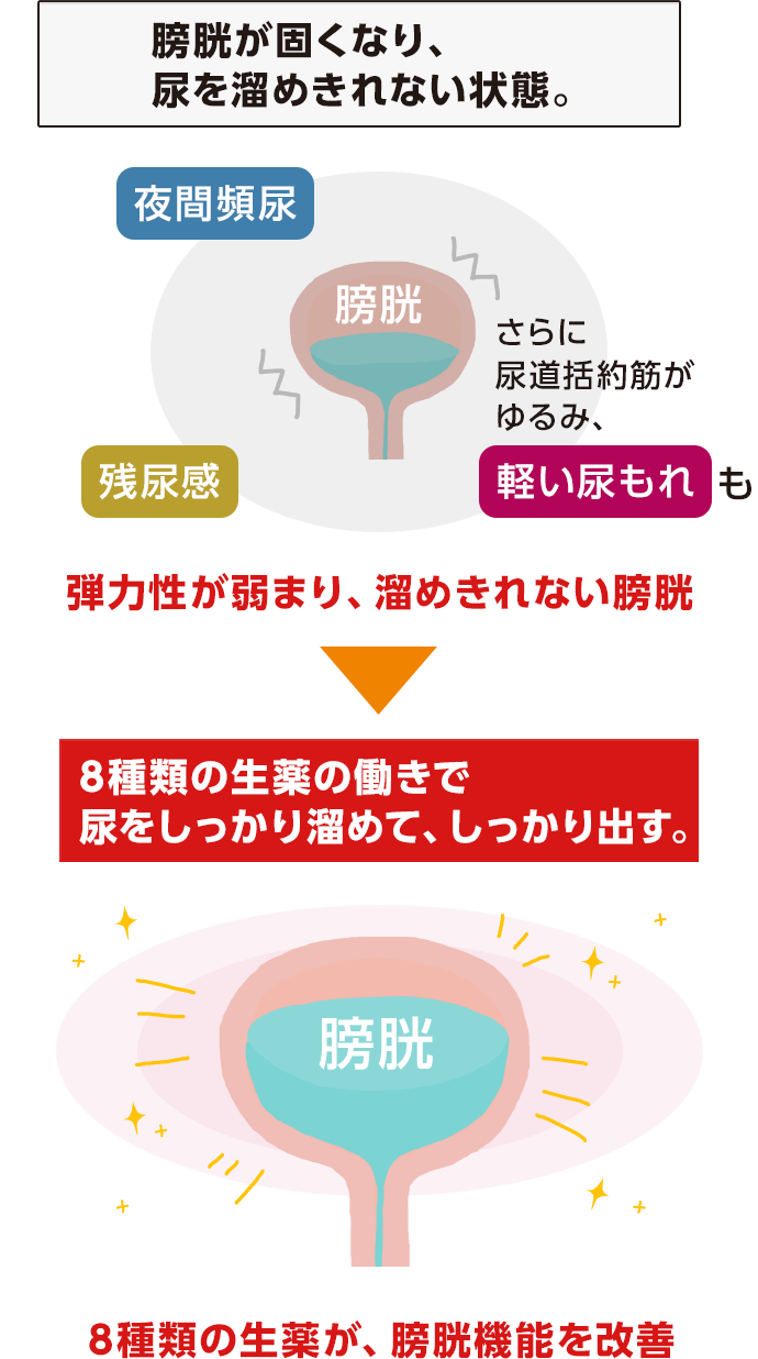 八味地黄丸の効果と真相を検証！頻尿や冷えの改善期間と合わない人の特徴