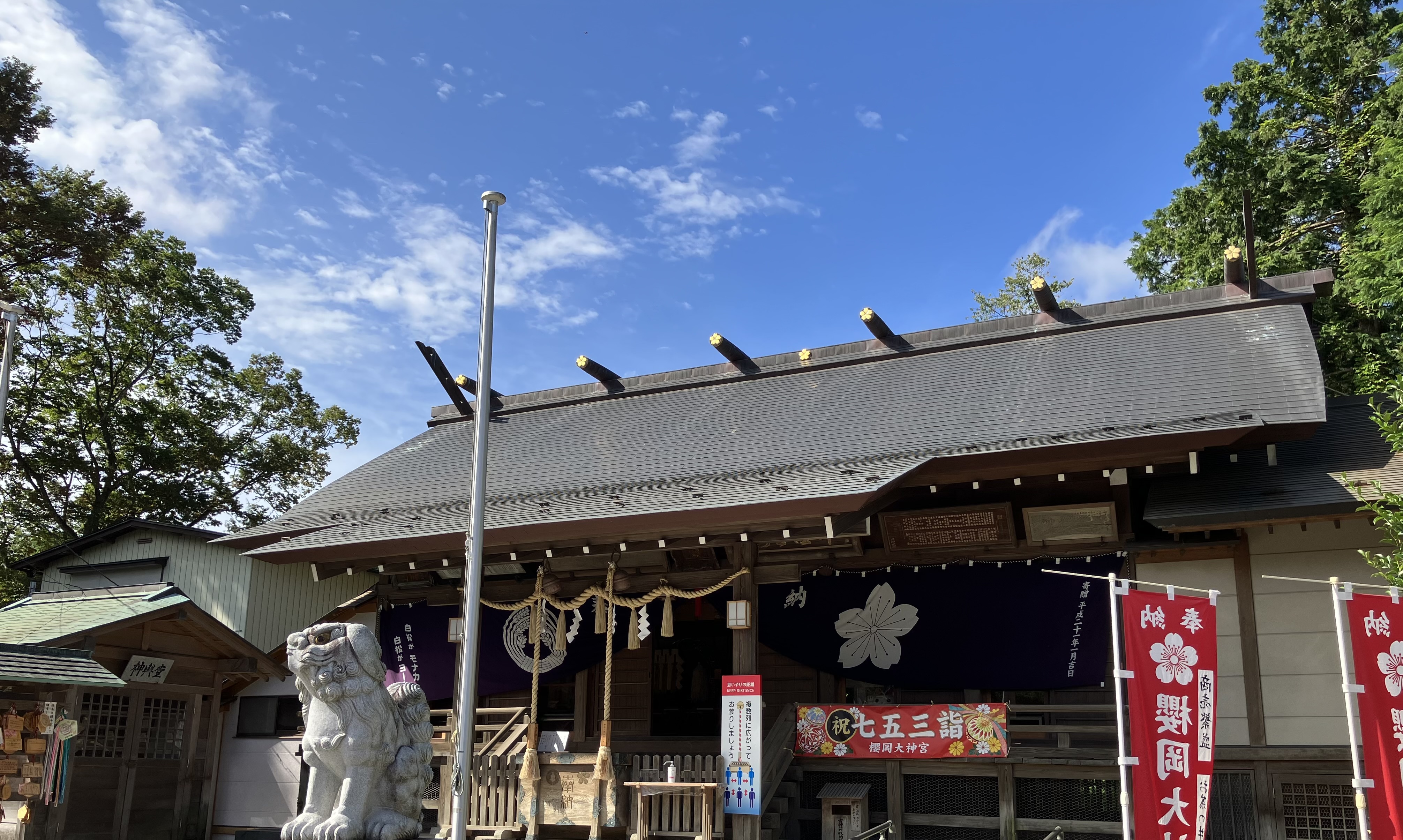 仙台・櫻岡大神宮の全貌｜伊達政宗の祈りとご利益・限定御朱印を徹底解剖