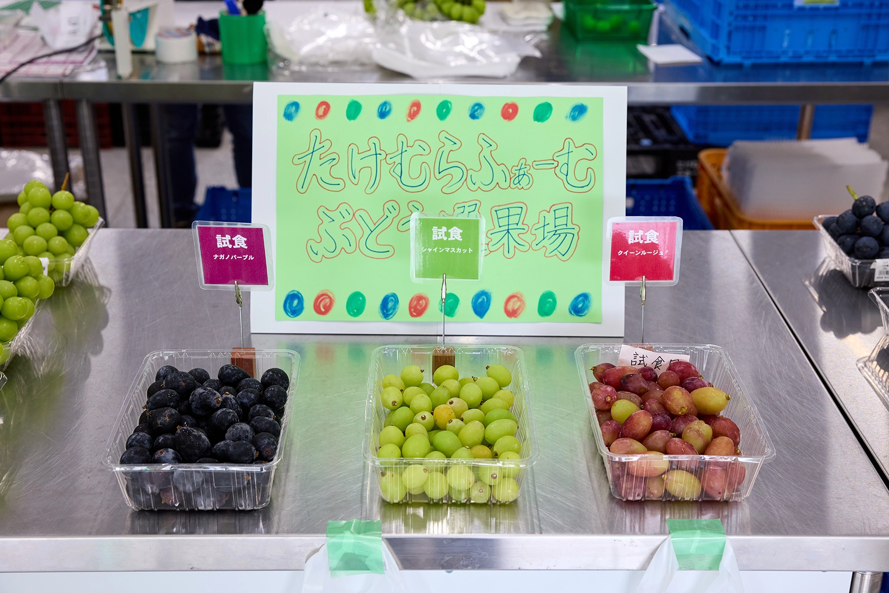 ぶどう直売所完全ガイド2026！朝採れの穴場農園と訳ありの真実