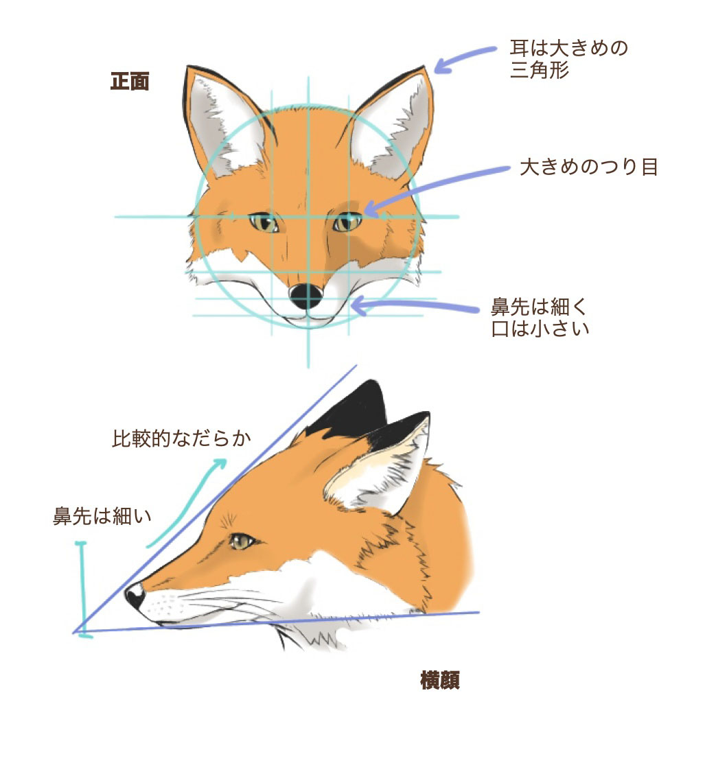 三井デザインテックの評判と費用実態｜リフォームで後悔しない選択基準