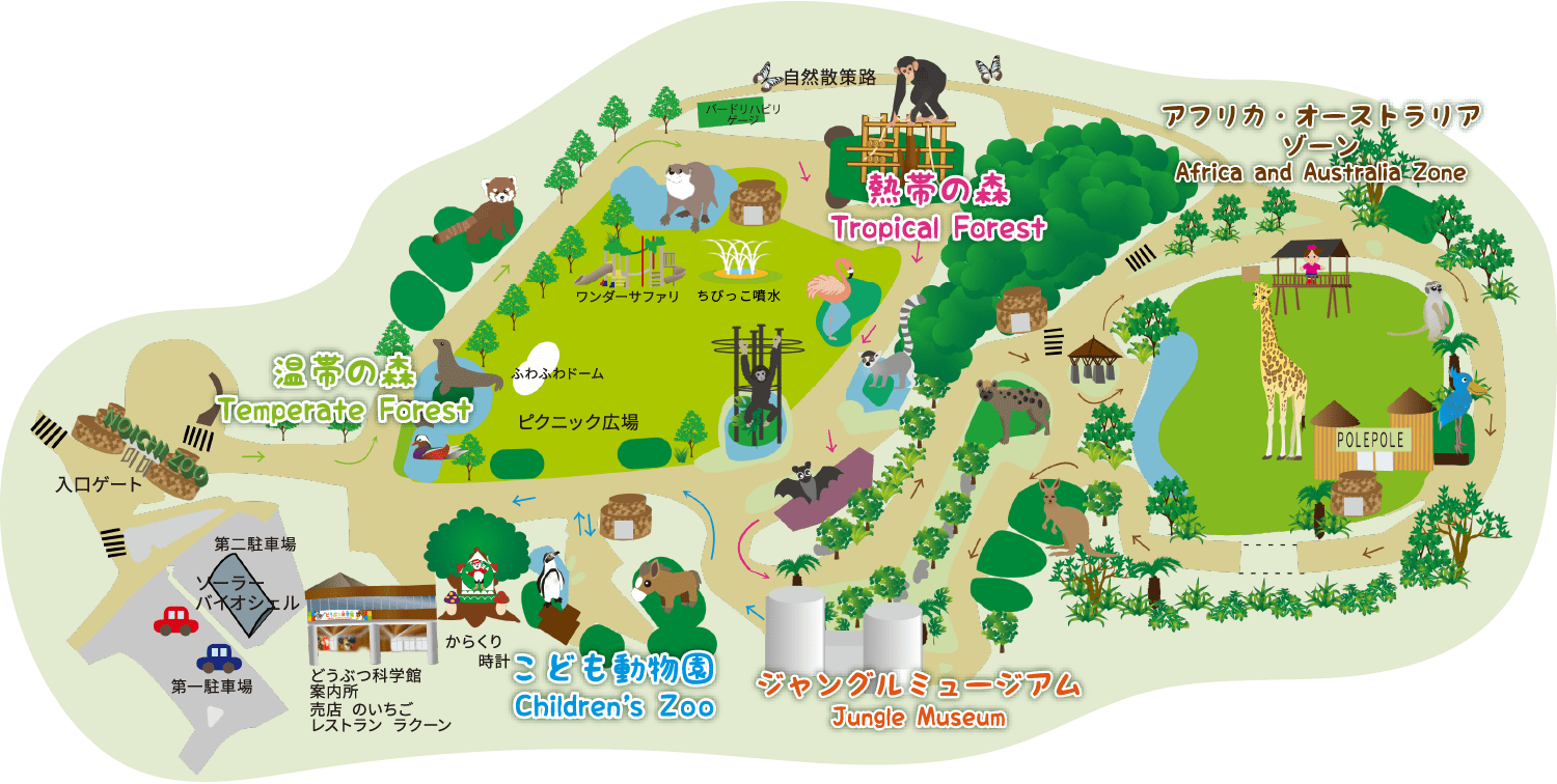 高知県立のいち動物公園が日本一の理由！ハシビロコウや魅力を徹底解剖