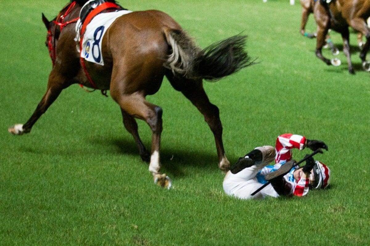 なぜ馬の事故は防げないのか？競馬の落馬や脱走の真相と安全対策