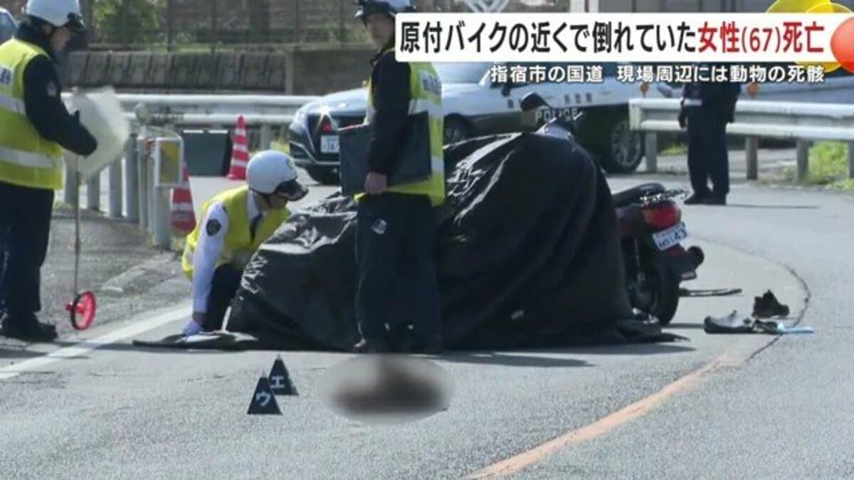 【指宿市事故速報】現場で何が？通行止め状況と原因の真相を徹底解説