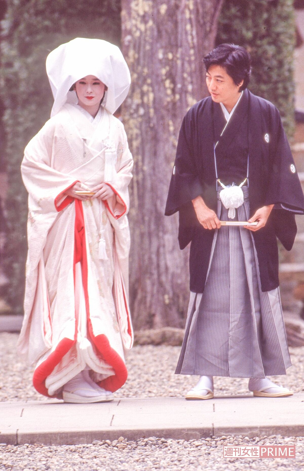 沢田研二と田中裕子の現在｜出雲大社の挙式から37年目の夫婦仲と真相